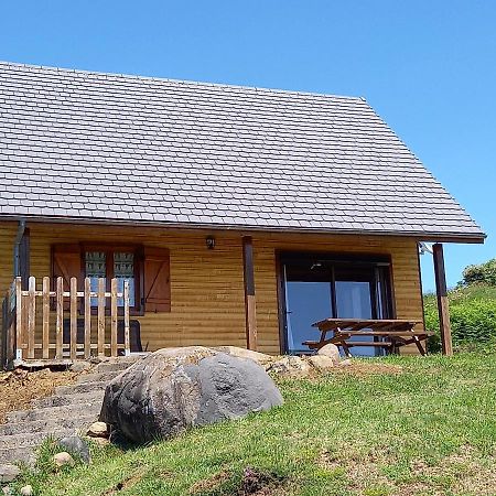 Chalet Sancy Saint-Genès-Champespe Exterior photo
