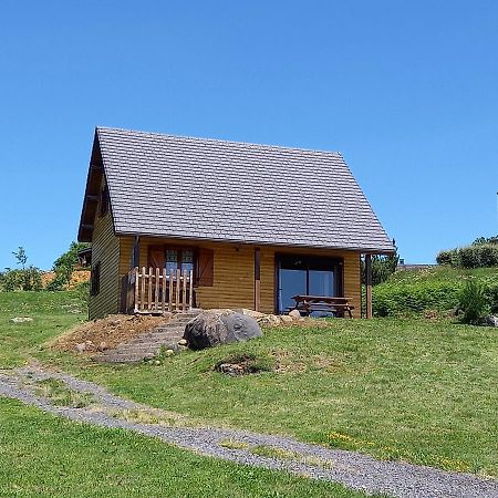 Chalet Sancy Saint-Genès-Champespe Exterior photo
